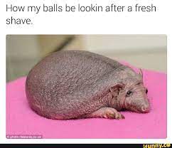 Shaving too often can irritate the skin. How My Balls Be Lookin After A Fresh Shave