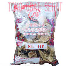 Gambar jamur hitam putih cumi darat koleksi. Jamur Hitam Putih Jamur Kuping Hitam White Back Fungus Shopee Indonesia