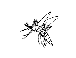 Collection of mosquito coloring page (38). Free Printable Mosquito Coloring Pages For Kids Animal Coloring Pages Snake Coloring Pages Bunny Coloring Pages