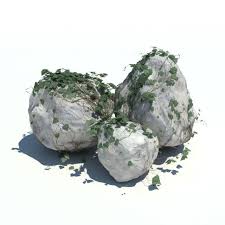 Large Boulders Covered In Vines Bouldering 3d Model Vines
