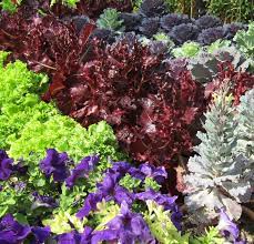 Maybe you would like to learn more about one of these? Gardening Tips For Zone 3 20 Vegetables You Can Grow