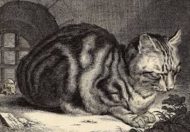 Black And White Striped Cat Sleeping Striped Cat Creeping Mouse New Black White Prints 5x7 Blank Notecards Of Vintage 17th Century Dutch Engraving In 2020 Cat Sleeping Animal Paintings Large Cats