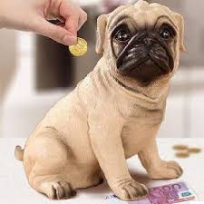 ARGUMENTO: “Los animales no son personas ni cosas” | Respuestas Veganas