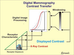 The Physics And Technology Of Mammography