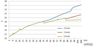 Applications Of The Pig Growth Models Articles Pig333