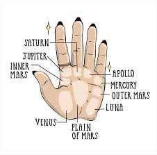 Palm Reading For Beginners: How To Read Palm Lines | Allure