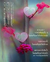 คำคมการใช ช ว ต คำคม คำคมโดนใจ