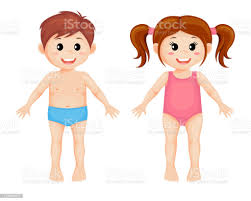 Ilustracion De Partes Del Cuerpo Nina Y Nino De Dibujos Animados Y Mas Vectores Libres De Derechos De Anatomia Istock