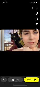 Missing cat in Archbald, PA