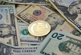 Cryptocurrency's future outlook is still very much in question. The Future Of Dogecoin And Elon Musk S Snl Appearance Nasdaq