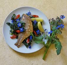 Niklas dorsch mit sensationellem interview. Dorsch Mit Krauterkruste Rezept Fur Fisch Welt