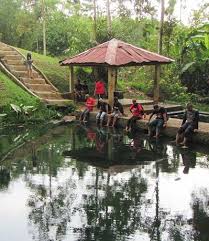 Image result for batu mayat pugung raharjo