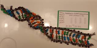 Making a model of dna is a great way to learn about how this magnificent structure builds our genes and determines our genetic makeup. Deb S Delvings In Genealogy Dna Helix Beaded Model
