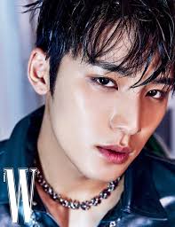 The video begins with all 13 seventeen members. Seventeen Wonwoo Kim Mingyu Dark Masculine Femme Fatale Charm