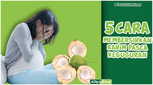 Berikut beberapa langkah mudah mengatasi jerawat secara tradisional. Cara Alami Membersihkan Rahim Pasca Keguguran Youtube