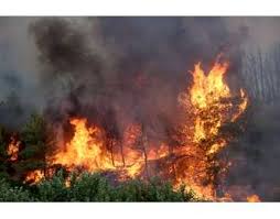 Μάλιστα, σύμφωνα με τα τοπικά μέσα, είχε ως αποτέλεσμα να ξεσπάσουν νέες εστίες πυρκαγιάς από κεραυνούς με μία από αυτές να είναι στα μεσοχώρια του δήμου καρύστου. Nea Fwtia Sta Mesoxwria Karystoy Sthn Eyboia