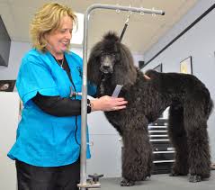 We're open 7 days a week from 7:00 a.m. Lisa S Pet Grooming Cheap Buy Online