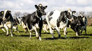 It looks like you're using artstation from europe. Vwkx6omhczftfm