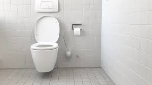 4.5 out of 5 stars. Best Toilet Seat Covers In Singapore That Tops It All For All Times