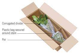 Which carrier should i use to ship flowers? How To Ship Flowers And Plants Fedex