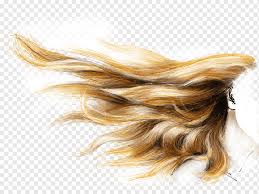 Wer seine haare färbt verändert seinen kompletten look. Haare Farben Braunes Haar Menschenhaarfarbe Blond Schwarzes Haar Schwarzes Haar Blond Braun Png Pngwing