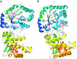 Triosephosphate Isomerase Deficiency New Insights Into An Enigmatic Disease Sciencedirect