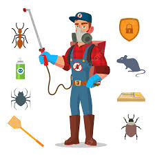 Termite Control