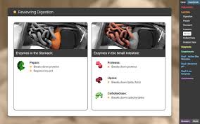 Muscular contraction that push food thorugh the digestive system. Enzymes Stem Case Lesson Info Explorelearning