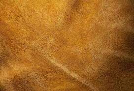 Suede (pronounced / s w eɪ d / (swayd)) is a type of leather with a napped finish, commonly used for jackets, shoes, shirts, purses, furniture, and other items.the term comes from the french gants de suède, which literally means gloves from sweden. Sheep Suede Leather At Rs 30 Square Feet S Suede Leather Id 12275642348