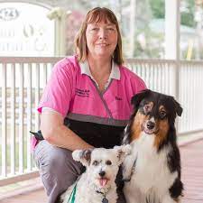 We did not find results for: Animal Care Hospital Of Waterford