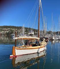 Image result for Copper Chestnut 2012 Cygnet