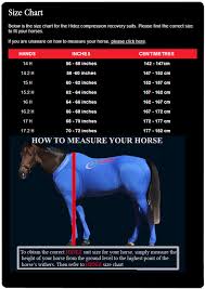 Hidez Horse Compression Suits Black 62 63 3 4 Inches