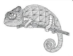 images?q=tbn:ANd9GcQ5_ave4lLWFG7iyO5unqLSNZ9ZLWSWfgKYY2tOlXhHkrecmimv0A فن (zentangle-doodle-mandala)