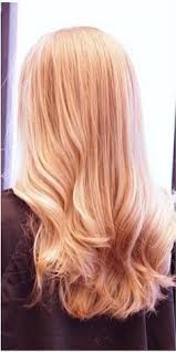 Image Result For Light Strawberry Blonde Hair Color Chart