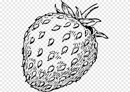Yuk beljar juga cara menanam tomat yang benar title. Strawberry Pie Shortcake Menggambar Jus Strawberry Stroberi Lukisan Cat Air Makanan Png Pngegg