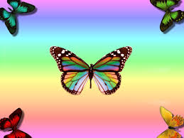 See more ideas about beautiful butterflies, butterfly art, butterfly wallpaper. 50 Free Butterfly Screensavers And Butterfly Wallpaper Butterfly Background Butterfly Wallpaper Backgrounds