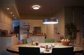 Philips Hue Fair Hanglamp Zwart Uw Verlichtingsexpert In 2020 Hanglamp Zwart Plafondlamp