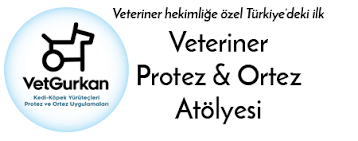 Kopek Arsivleri Vetgurkan Com