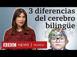 Los Cientificos Han Observado Diferencias Fisicas Entre Los Cerebros De Las Personas Que Hablan Varios Idiomas Y Los De Las Que Solo Hablan En 2020 Idiomas Bbc Cerebro