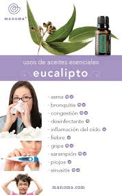 Aceites Esenciales Eucalipto Aceite Esencial Eucalipto Aceites Esenciales Doterra Recetas De Aceites Esenciales