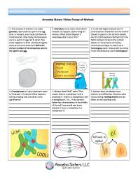 Our objective is to understand the principles that govern inheritance in plants and animals, including humans, by solving problems. Amoeba Sisters Video Recap Answers Fill Online Printable Fillable Blank Pdffiller