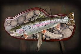 The backside of the mount that is touching the wall or not viewable is actually painted black. Fish Mounts Fish Replicas Home Decor Rainbow Trout Replica On River Rock Base Ahh Happy Eyes Our Difference Fish Mounts Fly Fishing Art Fish Sculpture