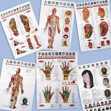 Baixingl 7 Sheets Body Acupuncture Meridian Acupressure Points Posters Chart Wall Map