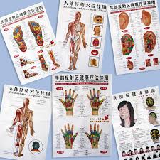 baixingl 7 sheets body acupuncture meridian acupressure points posters chart wall map