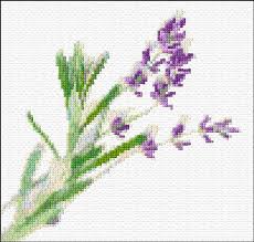 Free cross stitch lavendar flower patterns. Lavender Cross Stitch Designs
