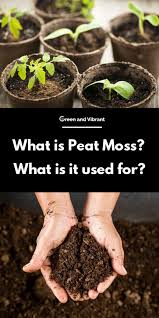 Peat moss is much more readily available than composting matter, which can take weeks or even months to be ready to spread over the growing fields. What Is Peat Moss What Is It Used For Trees Com