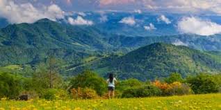 Maybe you would like to learn more about one of these? Top Spring Events In Asheville