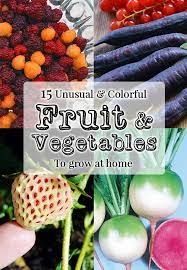 15 Unusual Fruits Veg For The Home Garden Unique Vegetables Unique Fruit Growing Vegetables