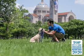 At tlc for pets, we share your love and concern for your feline, canine, or exotic pet. Enrichment Dog Walking Patrick S Pet Care