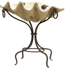 Giant clam shell decorative stands for ornaments. Shell Display Giant Clam Shell Giant Clam